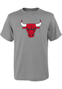 Chicago Bulls Youth Primary Logo T-Shirt - Grey