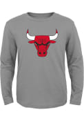 Chicago Bulls Boys Primary Logo T-Shirt - Grey