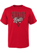 Chicago Bulls Youth Victory Fashion T-Shirt - Red