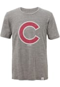 Chicago Cubs Youth Grey Fast Pitch Fashion Tee