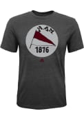 Texas A&M Aggies Youth Grey Vintage T-Shirt