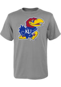 Kansas Jayhawks Youth Grey Jayhawk T-Shirt