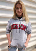 Carnegie Mellon Tartans Champion Powerblend Twill Hooded Sweatshirt - Grey