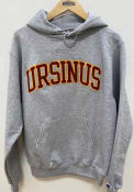 Ursinus Bears Champion Arch Name Hooded Sweatshirt - Grey