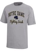 Notre Dame Fighting Irish Youth Champion Wordmark Script T-Shirt - Grey