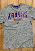 Kansas Jayhawks Colosseum Born And Raised T Shirt - Grey