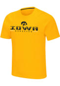 Iowa Hawkeyes Colosseum Turturkeykey T Shirt - Yellow