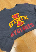 Iowa State Cyclones Colosseum Campus Team Logo Hooded Sweatshirt - Grey