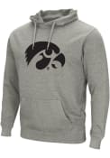 Iowa Hawkeyes Colosseum Campus Team Logo Hooded Sweatshirt - Grey