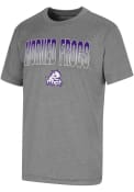TCU Horned Frogs Youth Colosseum Mint T-Shirt - Grey