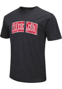 Carnegie Mellon Tartans Colosseum Arch Name T Shirt - Black