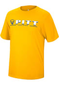 Pitt Panthers Colosseum Four Leaf T Shirt - Gold
