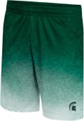 Michigan State Spartans Colosseum Walter Shorts - Green