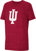 Indiana Hoosiers Youth Colosseum Knobby Primary Logo T-Shirt - Cardinal