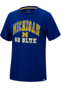 Michigan Wolverines Colosseum Nice Marmot T Shirt - Navy Blue