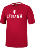 Indiana Hoosiers Colosseum McFiddish T Shirt - Crimson
