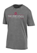 Ohio State Buckeyes University T Shirt - Grey