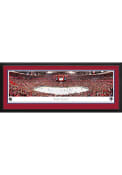 Florida Panthers Panorama Deluxe Framed Posters
