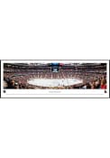 Ottawa Senators Panorama Framed Posters