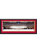 Ottawa Senators Panorama Deluxe Framed Posters