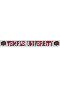 Temple Owls 2X19 Full Color Auto Strip - White