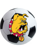Ferris State Bulldogs 27 Soccer Ball Interior Rug