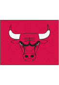 Chicago Bulls 34x42 Starter Interior Rug