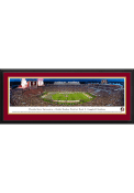 Florida State Seminoles 50 Yard Line Deluxe Framed Posters