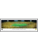 Michigan Wolverines Under The Lights Standard Framed Posters