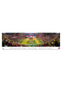 Ohio State Buckeyes 2014 Football National Champions Tubed Unframed Poster