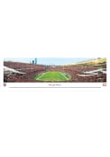 Chicago Bears Soldier Field Endzone Tubed Unframed Poster