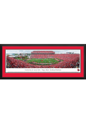 Louisville Cardinals Papa Johns Cardinal Stadium Deluxe Framed Posters