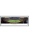 New Orleans Saints 50 Yard Line Standard Framed Posters