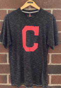 Cleveland Indians Arch Name Mascot Space Dye T Shirt - Grey