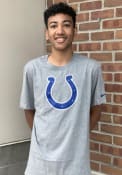 Indianapolis Colts Nike Logo Essential T Shirt - Grey