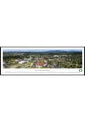 Oregon Ducks Campus Panorama Framed Posters