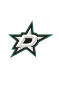 Dallas Stars Logo Pin