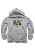 Oakland University Golden Grizzlies Kids Grey Logo Hooded Sweatshirt
