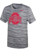 Ohio State Buckeyes Youth Nike Velocity Legend T-Shirt - Grey