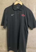 Arkansas Razorbacks Nike Varsity Logo Polo Shirt - Grey