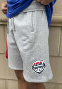 Team USA Nike Club Shorts - Grey