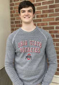 Ohio State Buckeyes Alternative Apparel Champion Fashion Sweatshirt - Grey