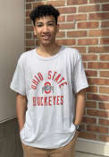 Ohio State Buckeyes Alternative Apparel Keeper Fashion T Shirt - Grey