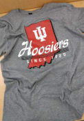 Indiana Hoosiers Stated Fashion T Shirt - Grey