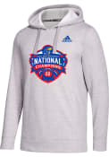 Kansas Jayhawks Adidas 2022 National Champions Fleece Hooded Sweatshirt - Grey