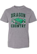 Youth Rally Dragon Country Football Stadium T-Shirt - Grey