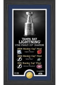 Tampa Bay Lightning Stanley Cup Champions Bronze Coin Legacy Plaque