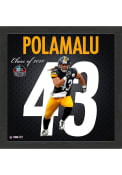 Pittsburgh Steelers Troy Polamalu Impact Jersey Picture Frame
