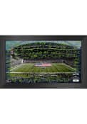 Seattle Seahawks 2021 Signature Gridiron Collection Picture Frame
