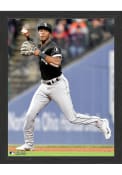 Chicago White Sox Player Action Picture Frame